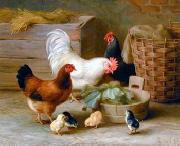 unknow artist Cocks 140 oil painting reproduction